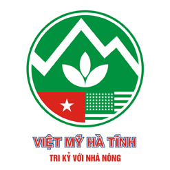 Việt Mỹ Hà Tĩnh